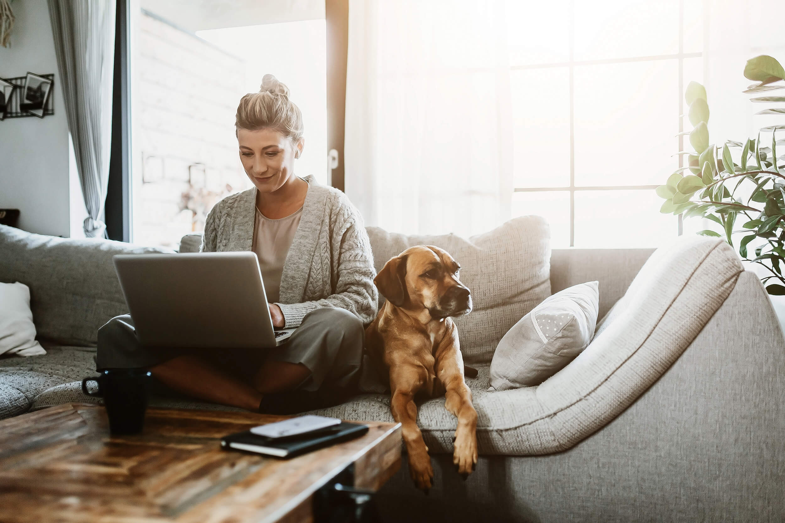 Frau arbeitet entspannt im Homeoffice am Laptop, der Hund liegt neben ihr auf dem Sofa